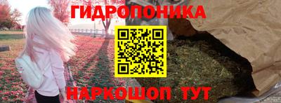 МДПВ Ногинск