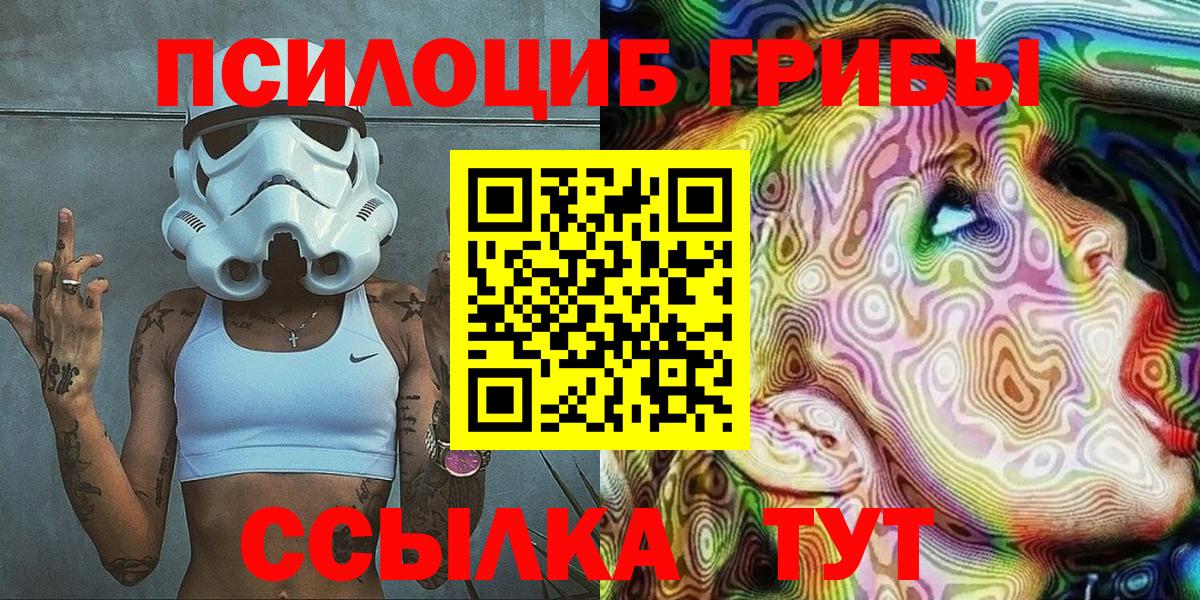 закладка  Вход с VPN  Орёл  Псилоцибиновые грибы Cubensis 